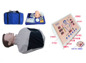 心肺复苏模拟人（全身）