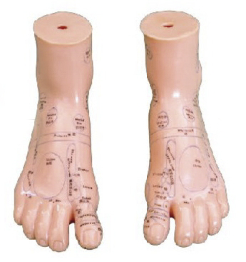 按摩足 17CM (中文、英文)一对
