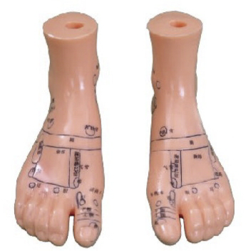 按摩足 12CM (中文、英文)一对