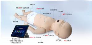 高级婴儿复苏模拟人(类真人)