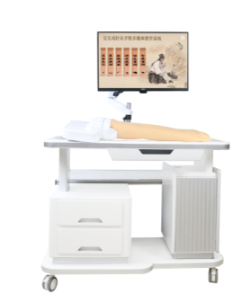 经络六位显像多媒体教学系统( 手部,腿部版)