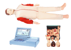 高级心肺复苏、创伤模拟人(二合一组合)