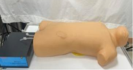 超声引导下股动静脉穿刺及腹穿模型