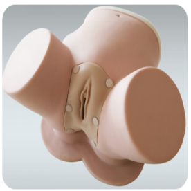 宫腔镜手术训练模型