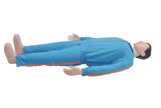 77718335.jpg 1729673833340.jpg