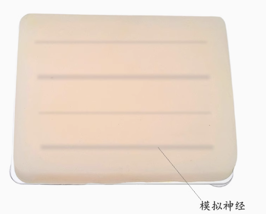 超声麻醉注射B超引导下神经阻滞穿刺训练模型