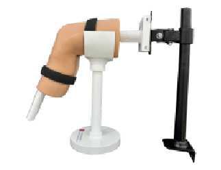 膝关节仿真模型Pro