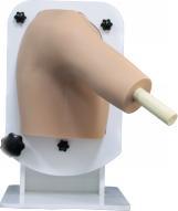 肩关节仿真模型Pro