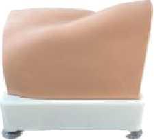 半髋关节仿真模型Pro