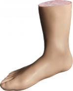 拇外翻仿真模型