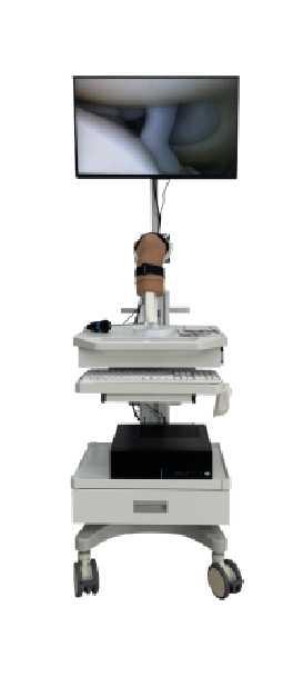 膝关节镜模拟训练器