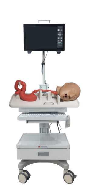 胃镜模拟训练系统