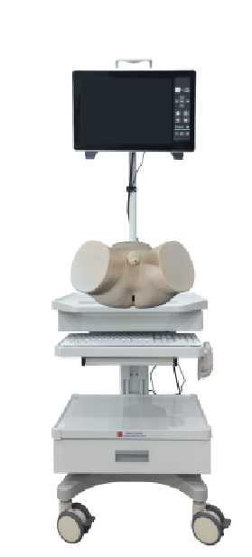 泌尿镜模拟训练系统