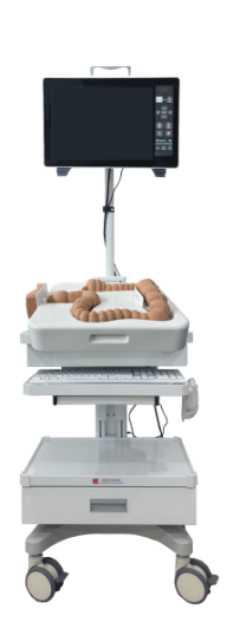 肠镜模拟训练系统