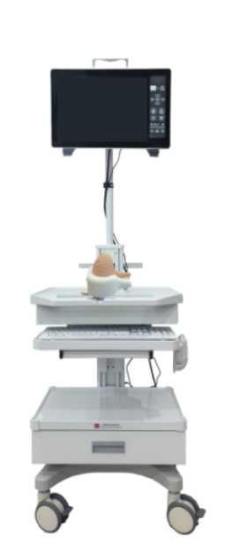 膀胱镜模拟训练系统