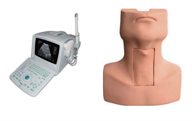 超声引导下甲状腺穿刺活检训练模型