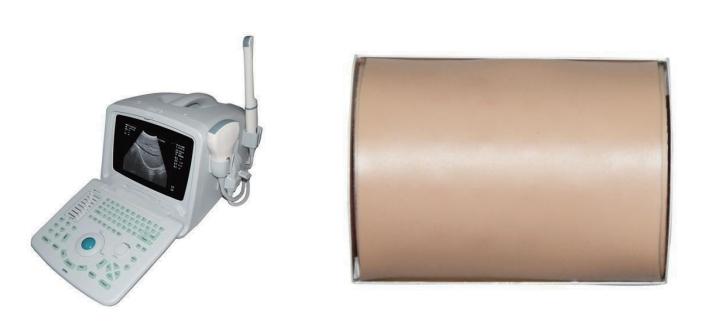 超声引导下穿刺训练模块