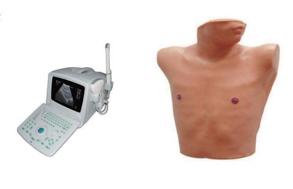 超声引导下胸腔与心包穿刺模型