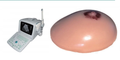超声引导下乳腺活检模型