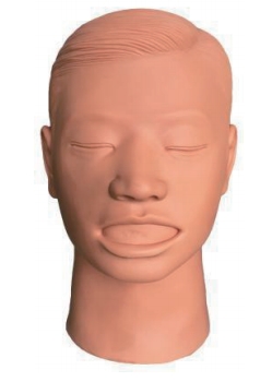 上颌窦穿刺训练模型