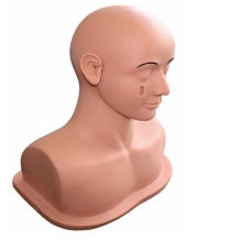 电子耳部检查模型