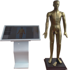 多媒体人体针灸穴交互数字平台(铜色款)