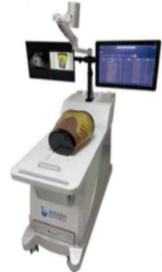 腹部病变超声扫查训练系统