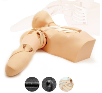 超声引导下PICC训练模型