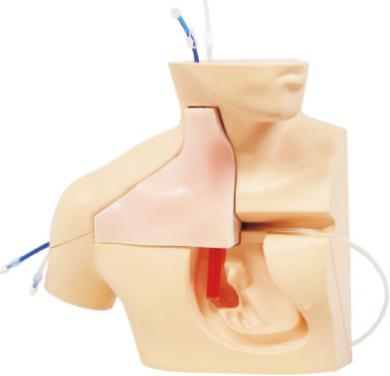 超声引导下中心静脉穿刺置管模型
