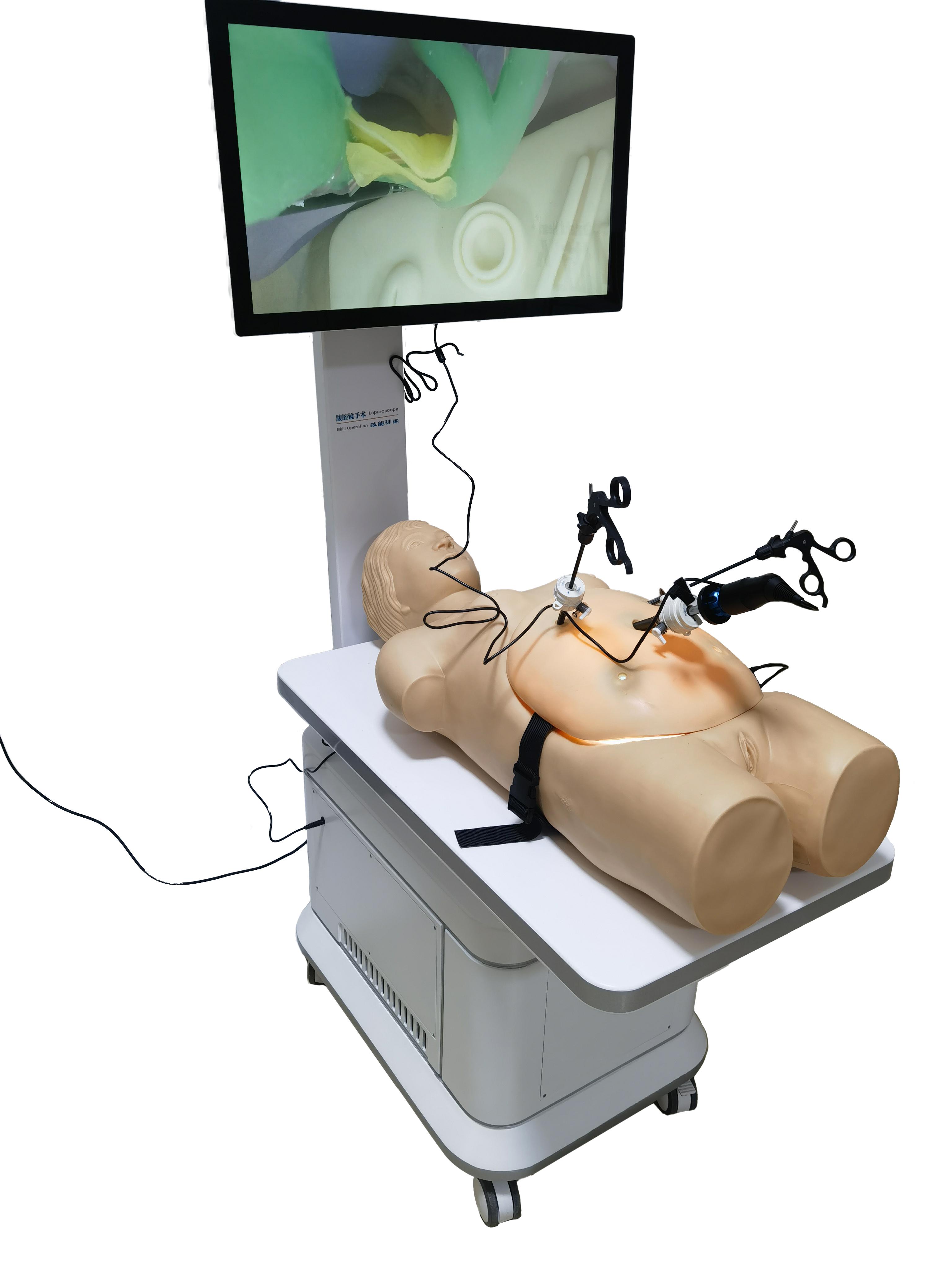 腹腔镜手术技能训练人体模型