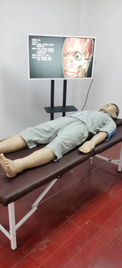 推拿手法训练及考核系统(全身仿真人)
