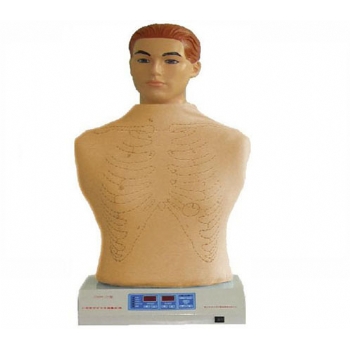 JD/IV全自动心肺触诊听诊模拟人（单机版）