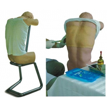 JD/CK812胸腔(背部)穿刺训练模型