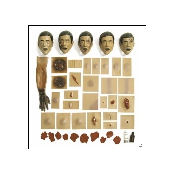 JD-CSⅣ型损伤组合