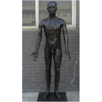 7-现代十四经穴针灸铜人模型