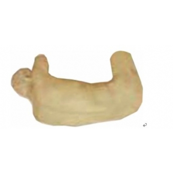 腰椎穿刺训练仿真标准化病人(标准体位)