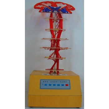 锥体系(皮质核束)新品推荐