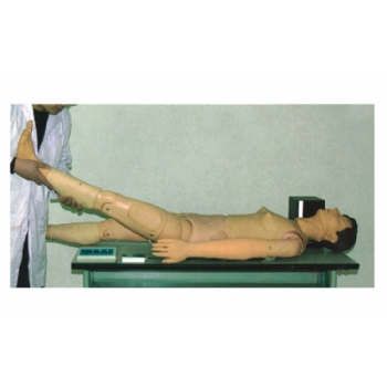 椎间盘突出症检查训练仿真电子标准化病人 新品上市