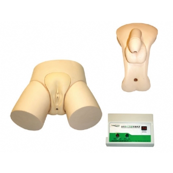 电子导尿教学实习模型 (女姓)