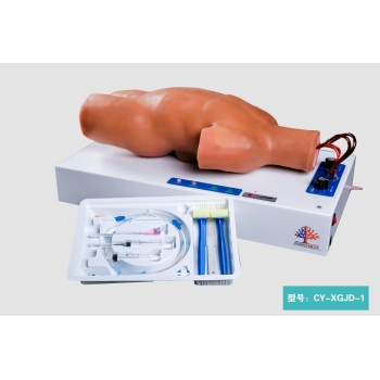 高级电动脉搏式小儿股部、颈部动脉穿刺练习模型