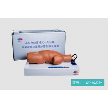 高级电动脉搏式小儿颈部、股部动脉及深静脉穿刺练习模型