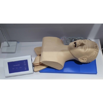 JD/5S电子人体气管插管训练模型(带牙齿受压报警)