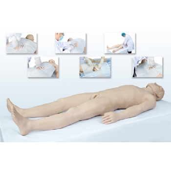 综合穿刺术高仿真标准化病人(腹腔、骨髓、深静脉、淋巴结、膀胱穿刺术)