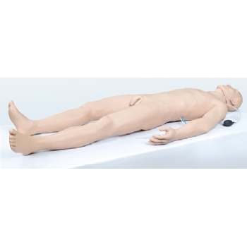 高级综合穿刺仿生标准化病人(全身骨骼)