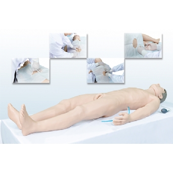综合穿刺术高仿真标准化病人(胸膜腔、腰椎、骨髓、心包穿刺术)