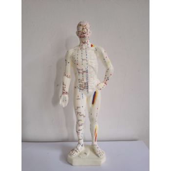 26cm针灸(白色)(中文/英代)