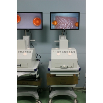 宫腔镜手术模拟器