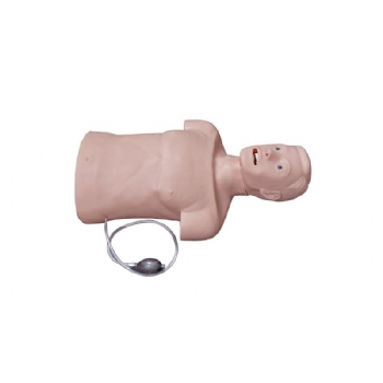 高级心肺复苏和气管插管半身训练模型