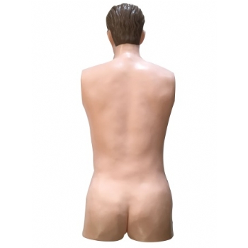 背部仿真针刺训练平台(隐性标记穴位)