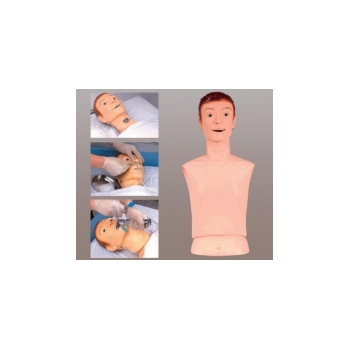 高级鼻胃管与气管护理模型